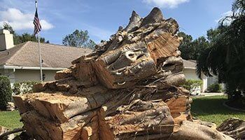 Tree Services — A Big Stump Being Removed In Sarasota, FL