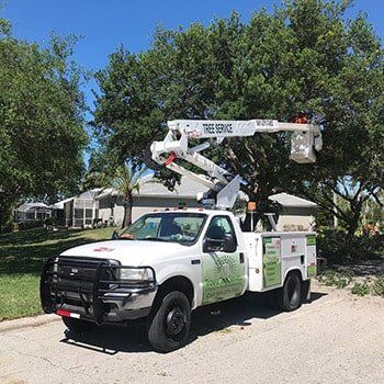 Tree Company — Worker Cutting Tree At Work Site In Sarasota, FL