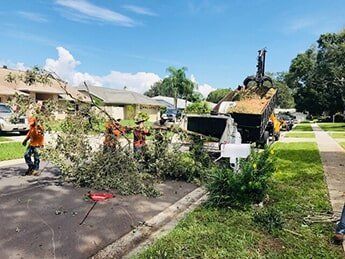 Troyer Tree Service — Group Of Workers Clearing Land In Sarasota, FL