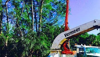 Tree Removal — Heavy Equipment Used For Tree Service In Sarasota, FL
