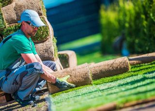 Landscaping Services — New Turf Grass Installation In Sarasota, FL