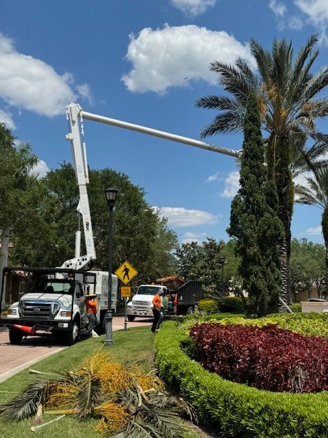 Tree Trimming — Truck For Cutting Tree At Work Site In Sarasota, FL