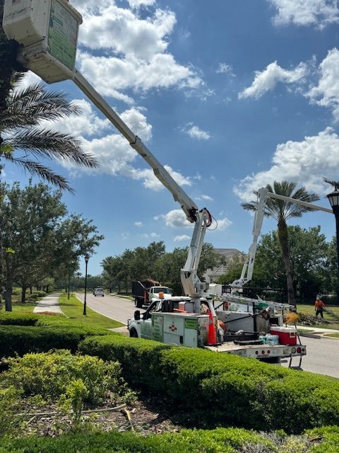 Tree Removal — Tree Trimming At Work Site In Sarasota, FL