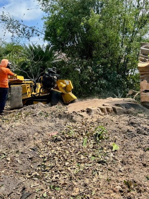 A man is using a machine to remove a tree stump.