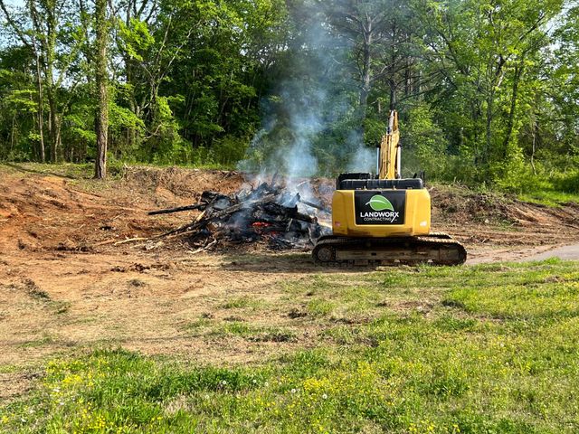 Forestry Mulcher Paris TN Landworx Contracting Right of Way