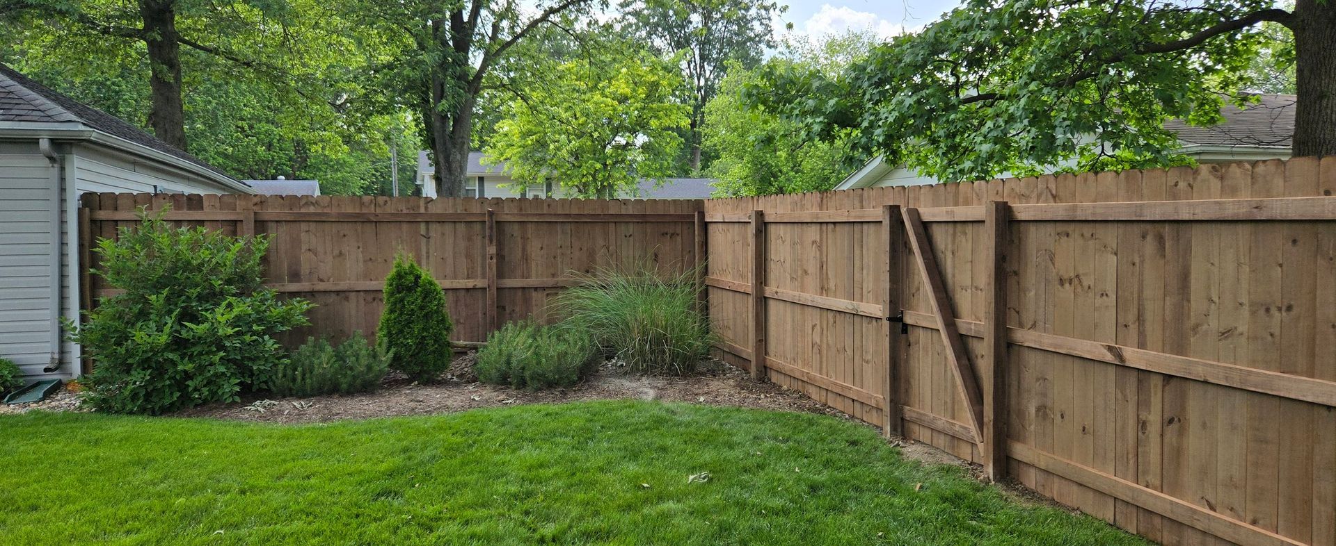 A wooden privacy fence borders a green lawn with a small garden bed containing shrubs and small evergreen trees.