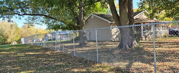 A chain-link fence runs through a grassy, leaf-strewn yard with trees and a house in the background.