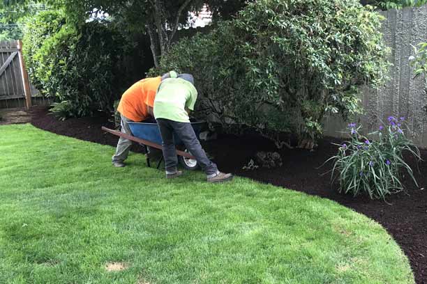Lawn Maintenance — Salem, OR — A. Lopez Lawn Care