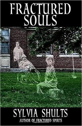 A book cover for fractured souls by sylvia shults