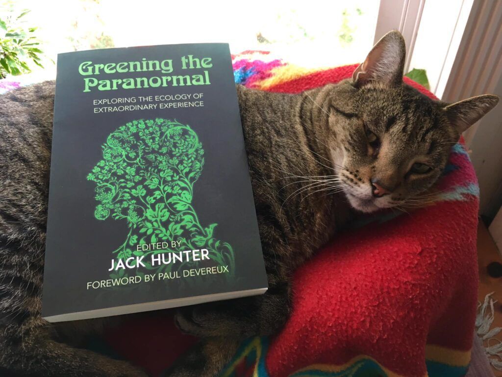 A cat is laying next to a book titled greening the paranormal