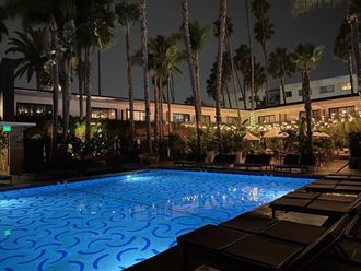 A large swimming pool is lit up at night with palm trees in the background.