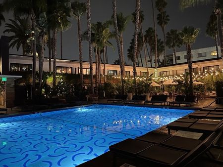 A large swimming pool is lit up at night with palm trees in the background.