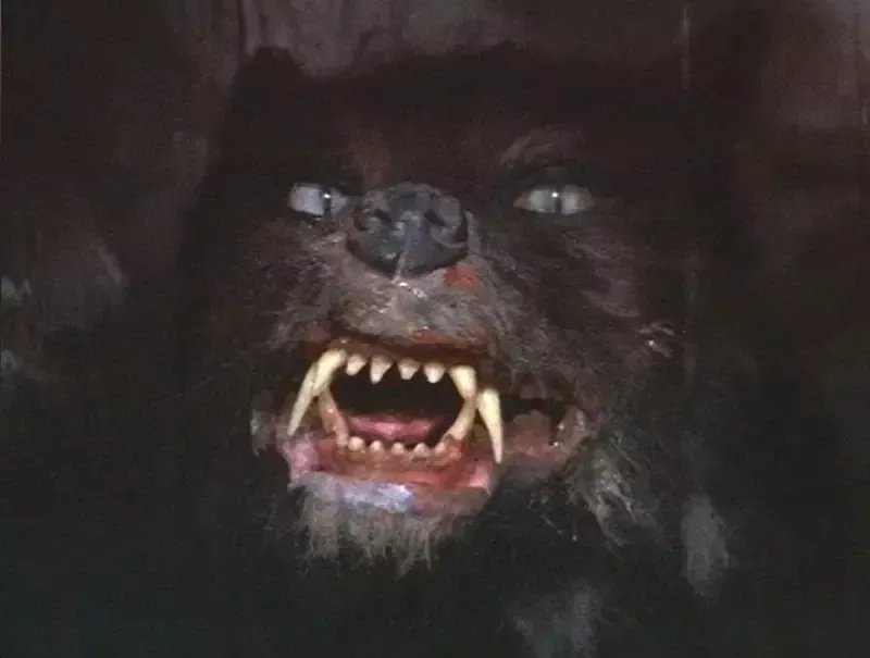 A close up of a werewolf 's face with sharp teeth.