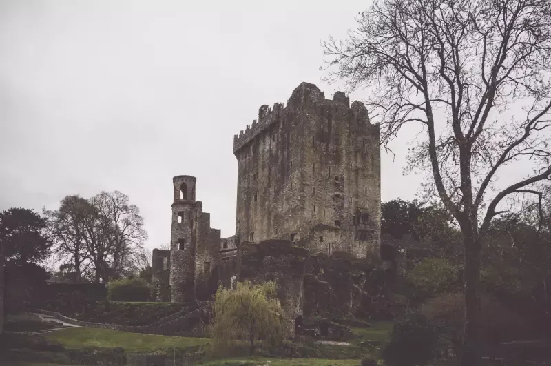 A castle surrounded by trees on a hill on a cloudy day.