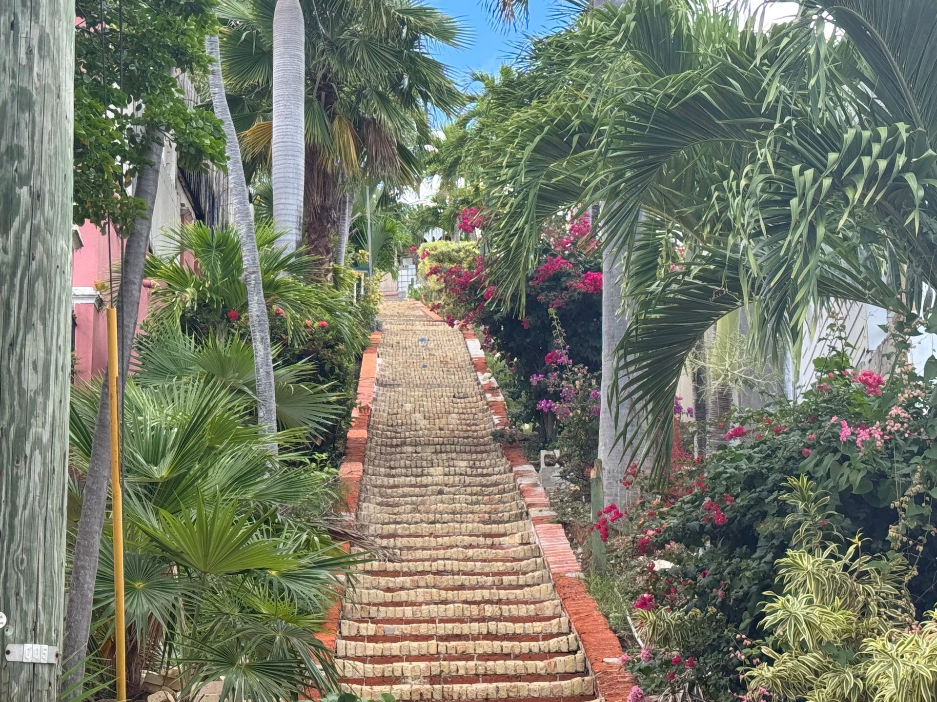 99 Steps