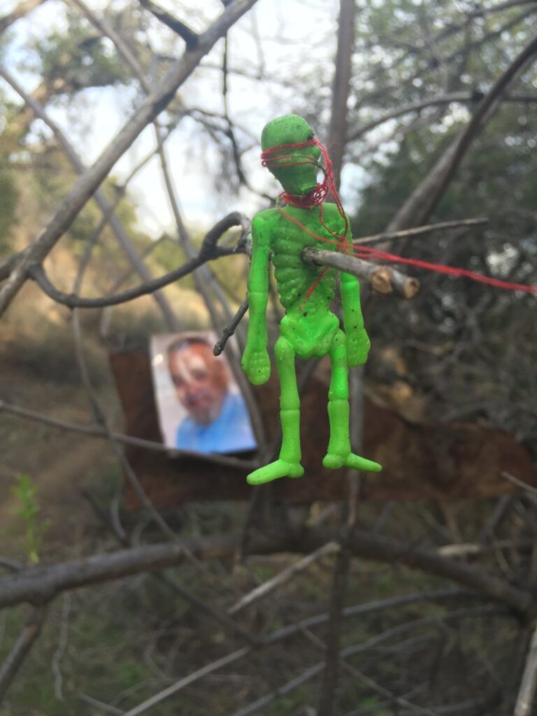 A green toy skeleton is hanging from a tree branch.