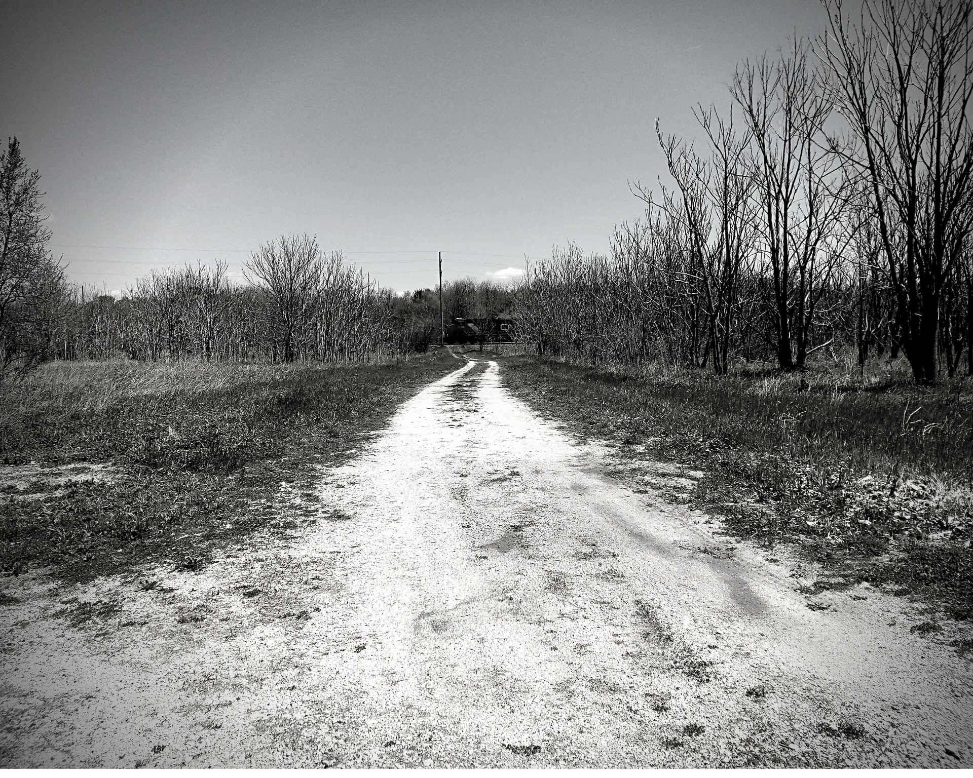 A black and white photo of a dirt road going through a field