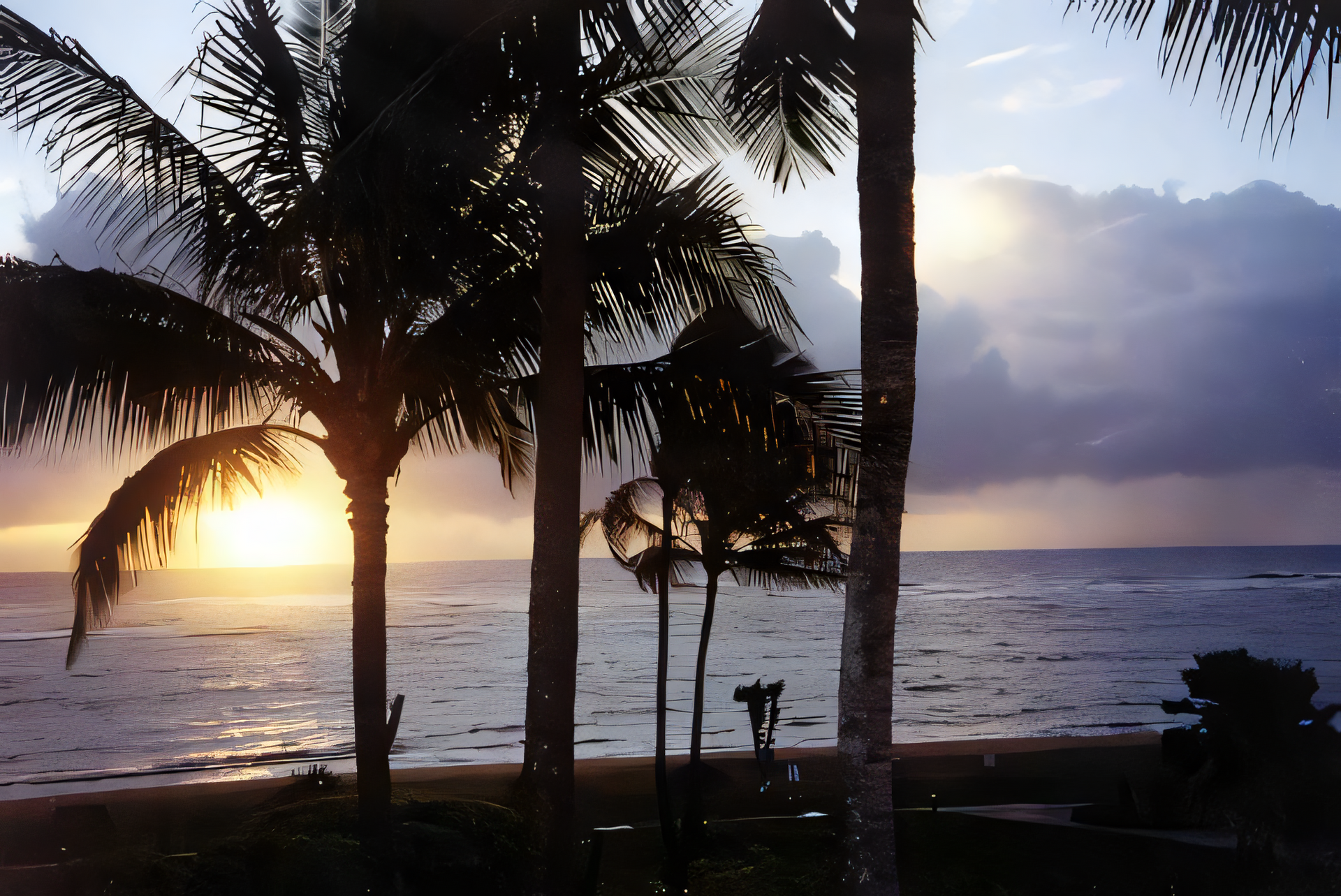 Swaying palms at sunset as seen on the Kailua-Kona Ghost Tour