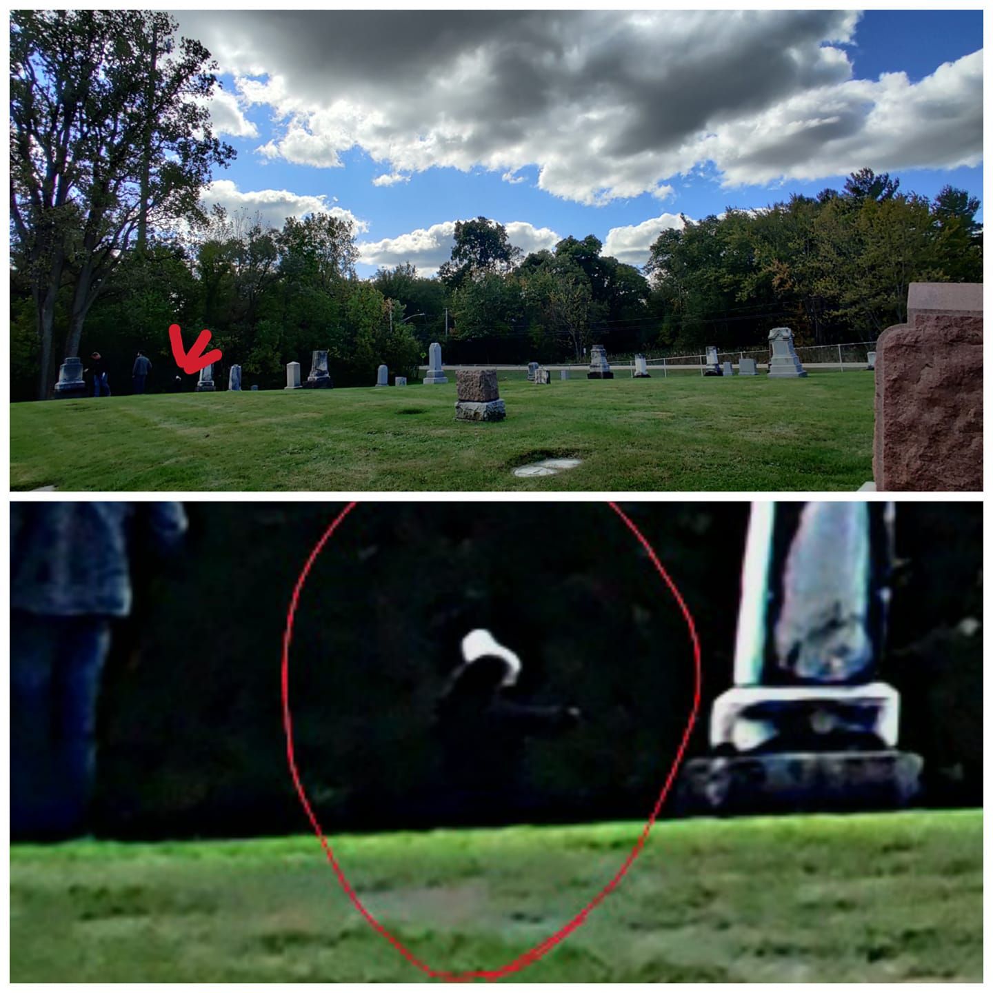 A cemetery with a red arrow pointing to a grave