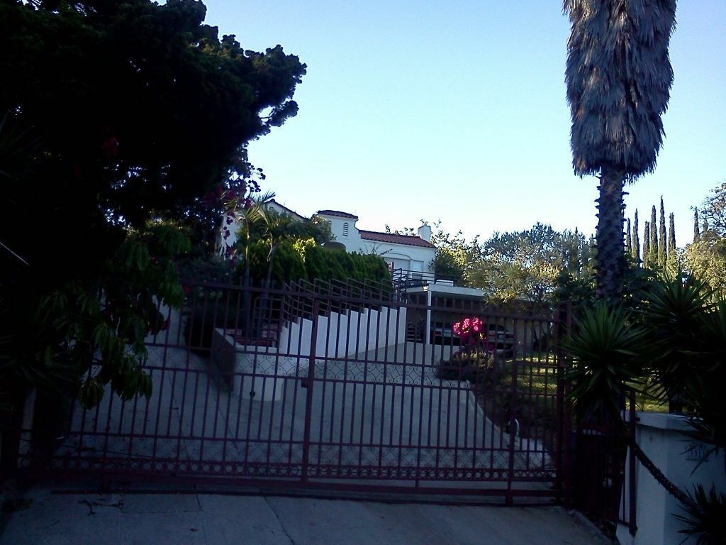 A gated driveway with a palm tree in the foreground