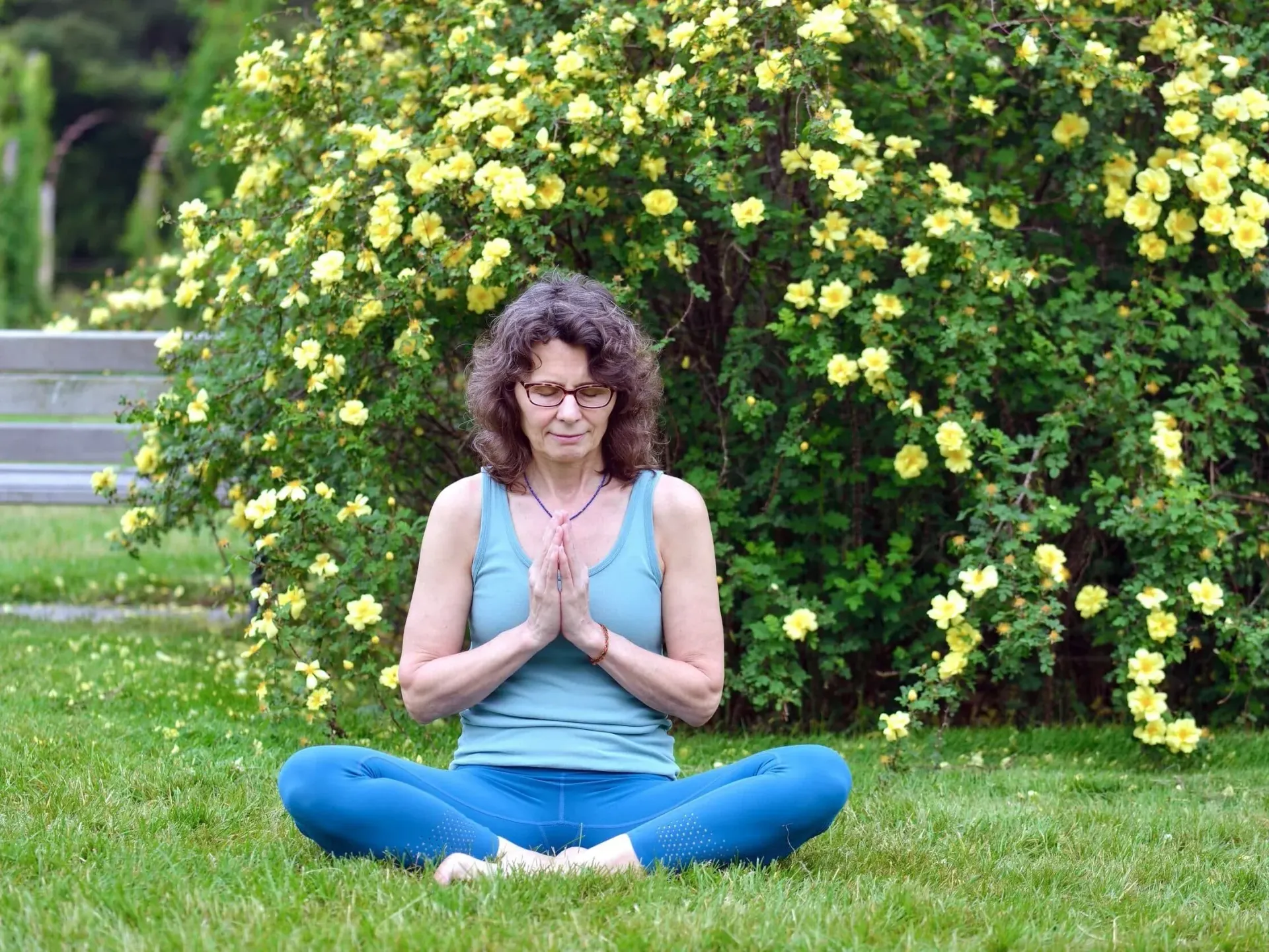Meditate