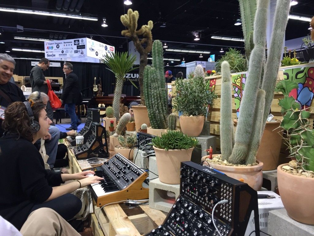 A woman is playing a keyboard in a room filled with potted plants and cactus.