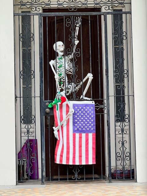 A skeleton is behind bars holding an american flag