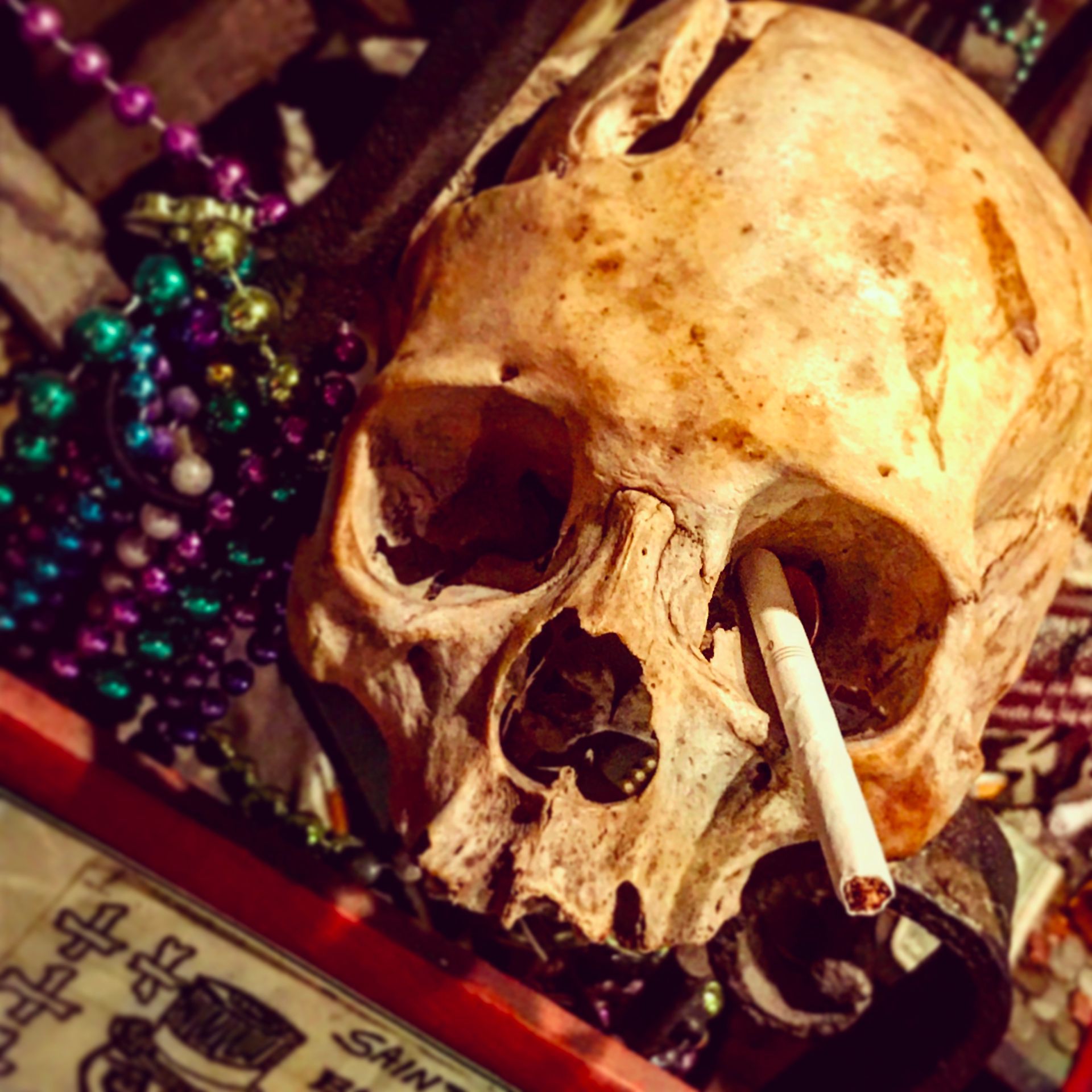 An offering at the New Orleans Voodoo Museum a skull with a cigarette and some Mardi Gras beads