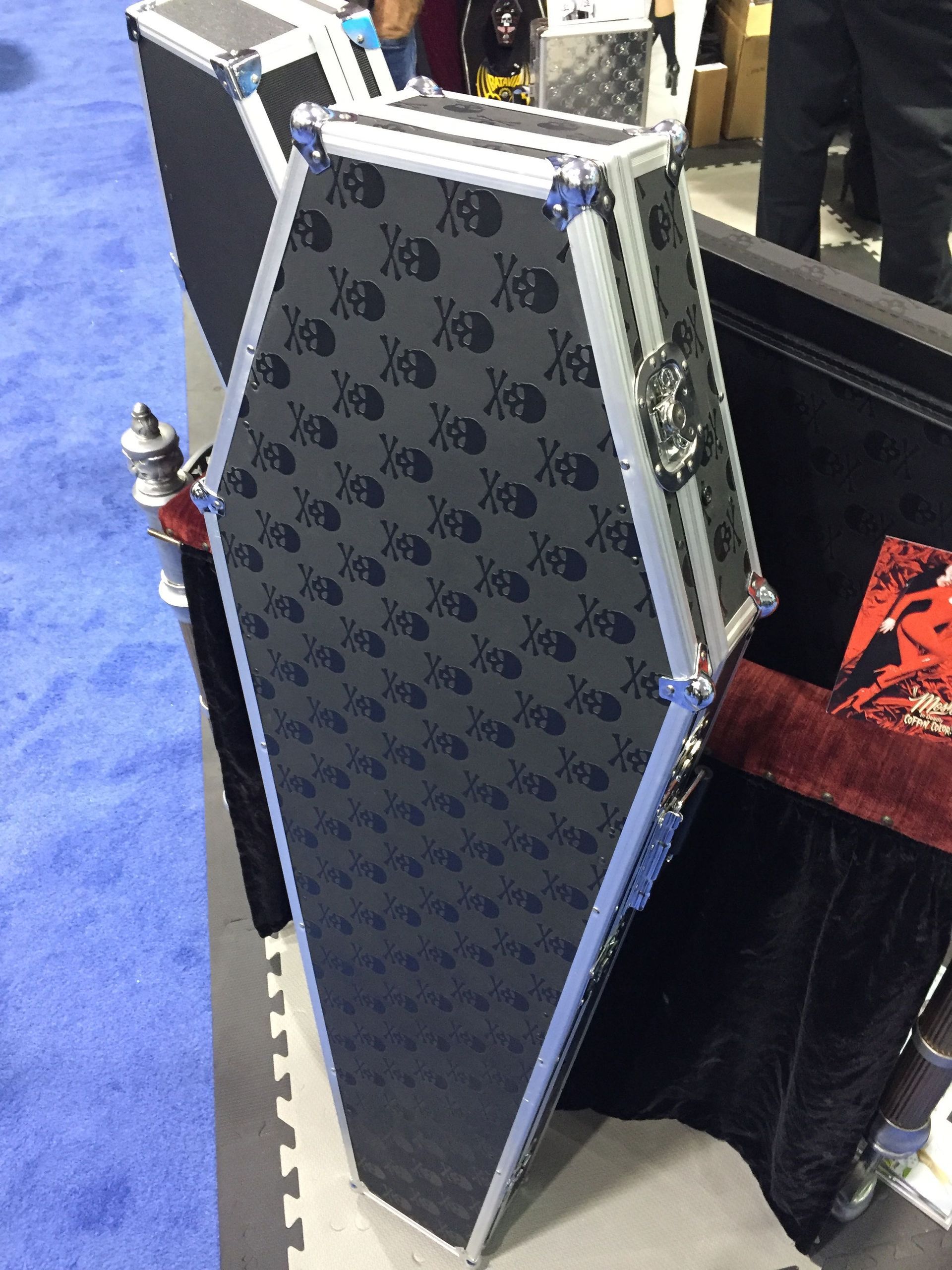 A black coffin shaped case with skulls on it