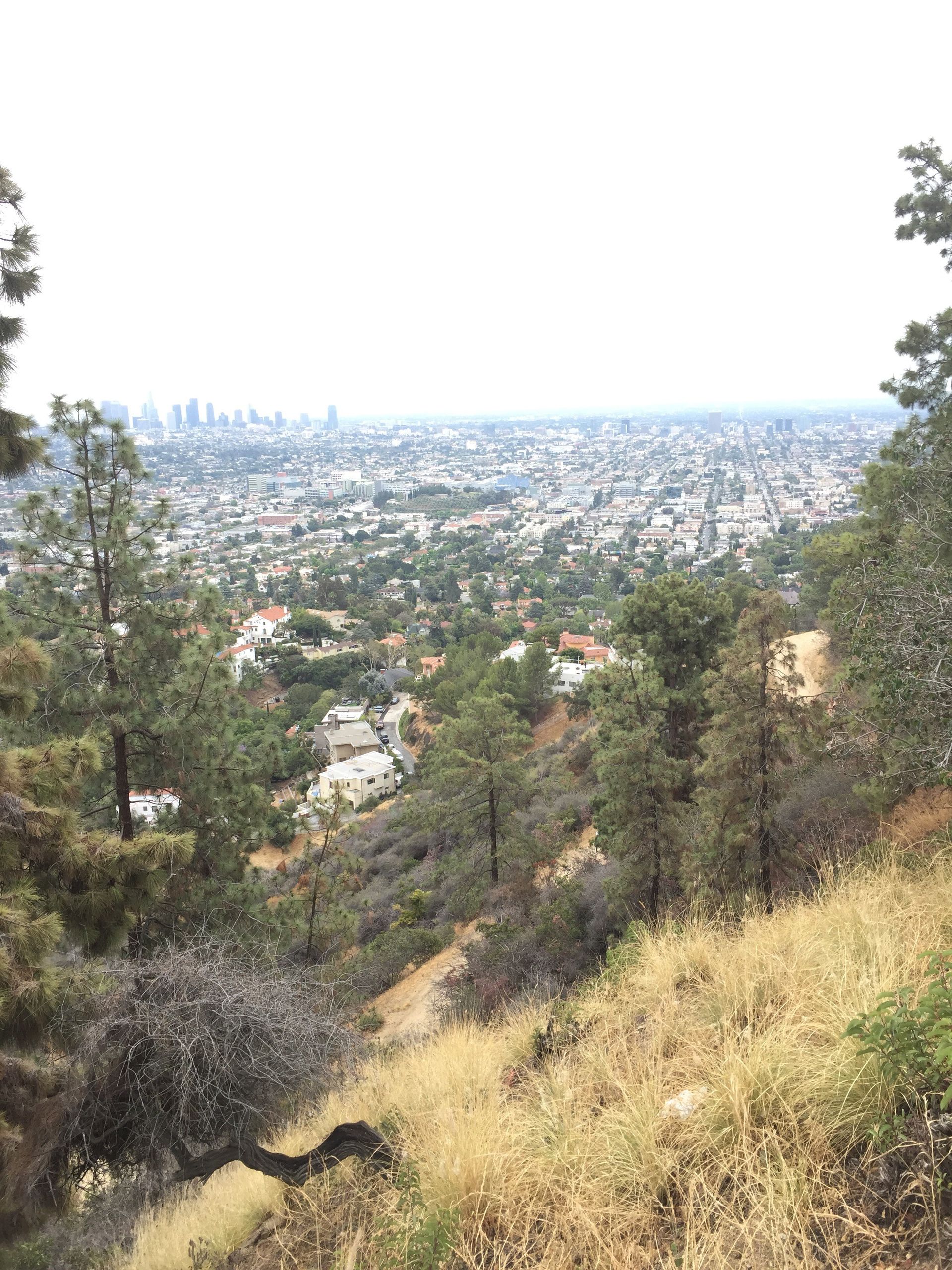 A view of a city from a hill with trees and grass.