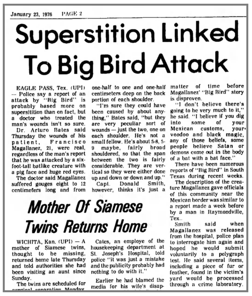 A newspaper article about a superstition linked to a big bird attack.