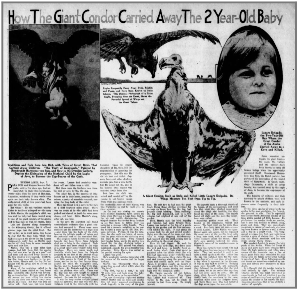 A newspaper article about how the giant condor carried away the 2 year old baby