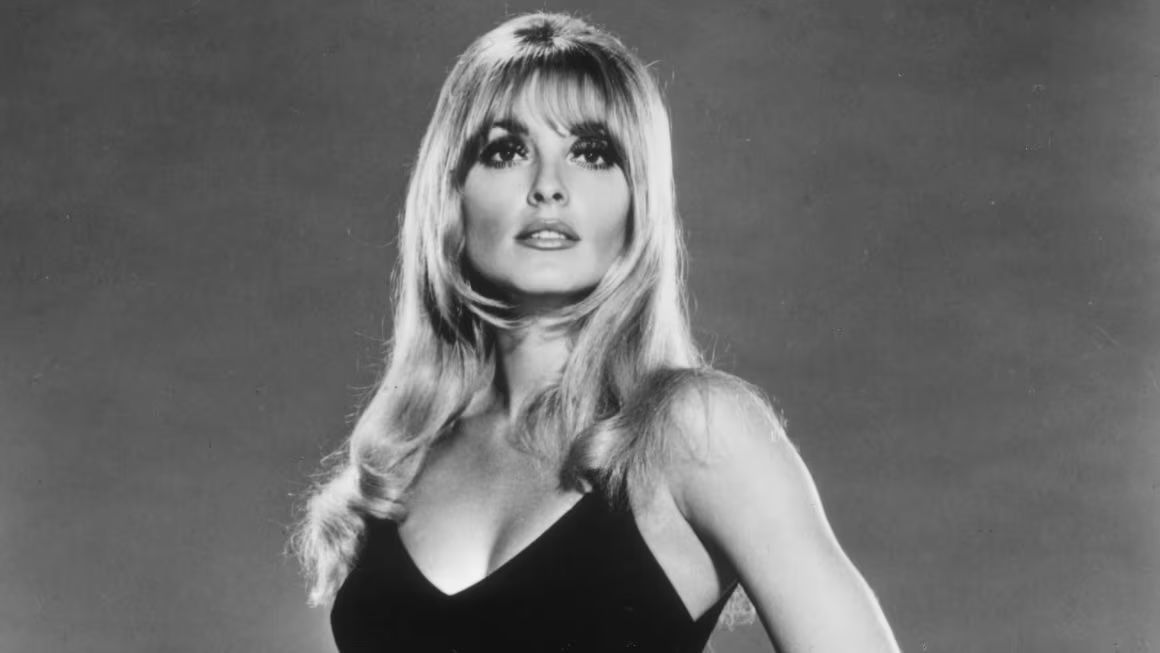 Actress Sharon Tate in a Hollywood studio portrait