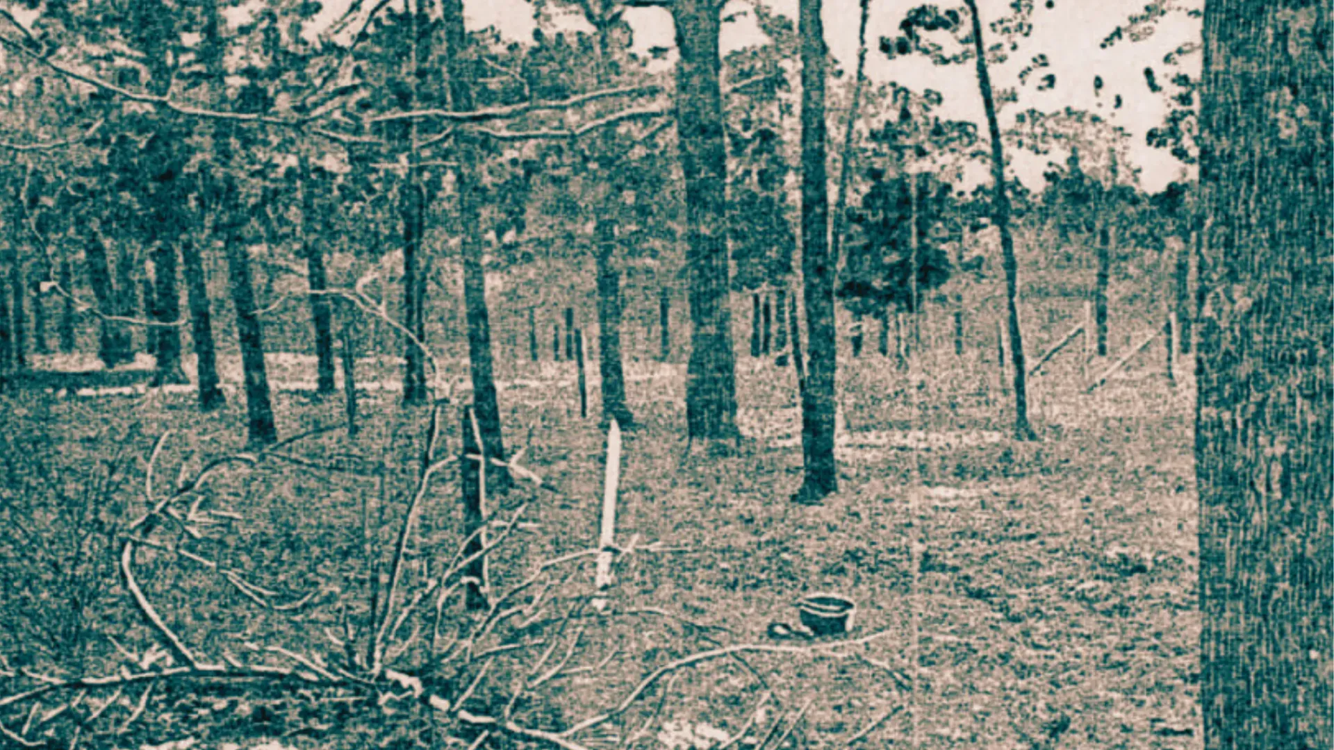 Image of the lost Lady Elgin cemetery near Highwood Illinois from the Chicago Tribune 1899