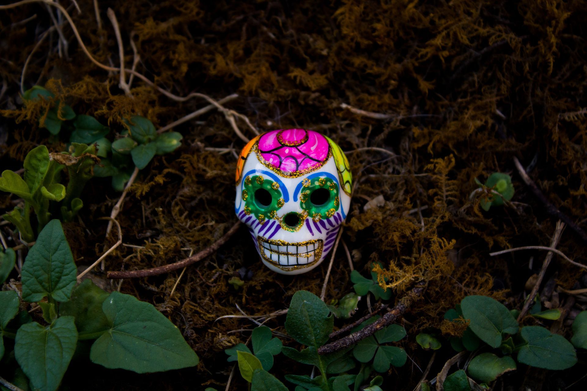 Calavera or sugar skull