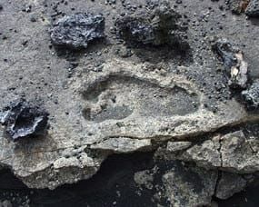 A close up of a footprint on a rock.