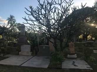 A cemetery with a tree and a grave with the letter i on it