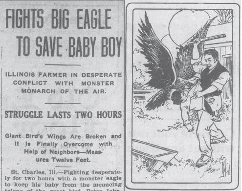 A black and white newspaper article titled fights big eagle to save baby boy