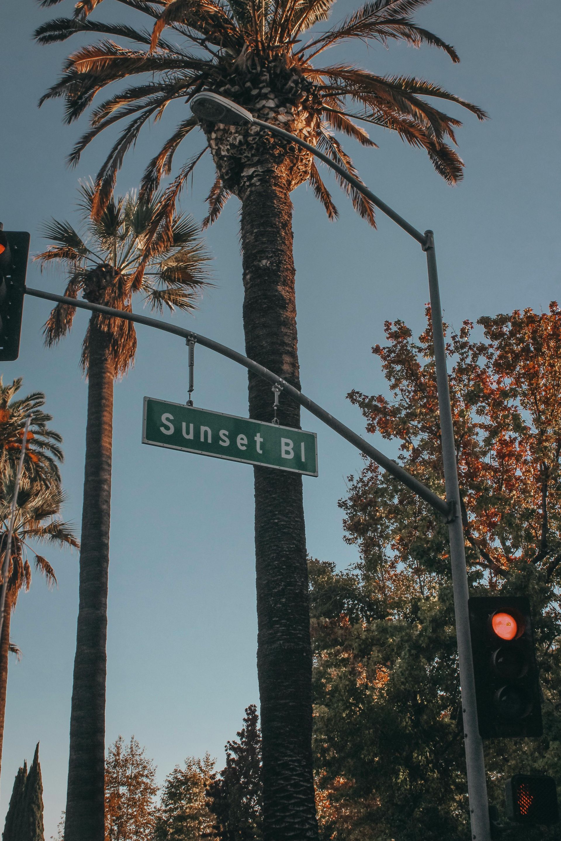 The Sunset Strip Killers: The True Story of Doug Clark and Carol Bundy’s Murder Spree
