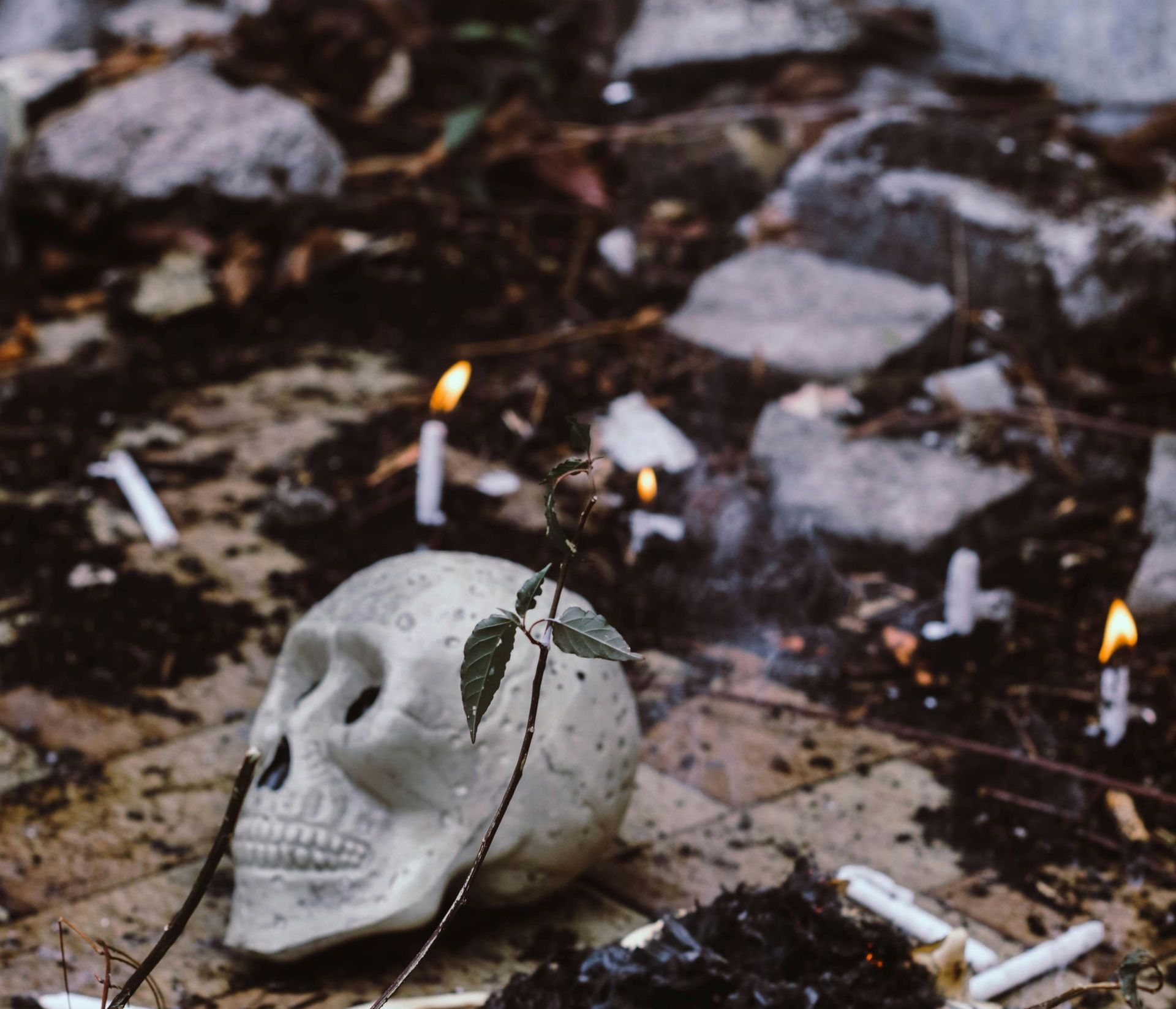 a skull on the ground with a candle next to it