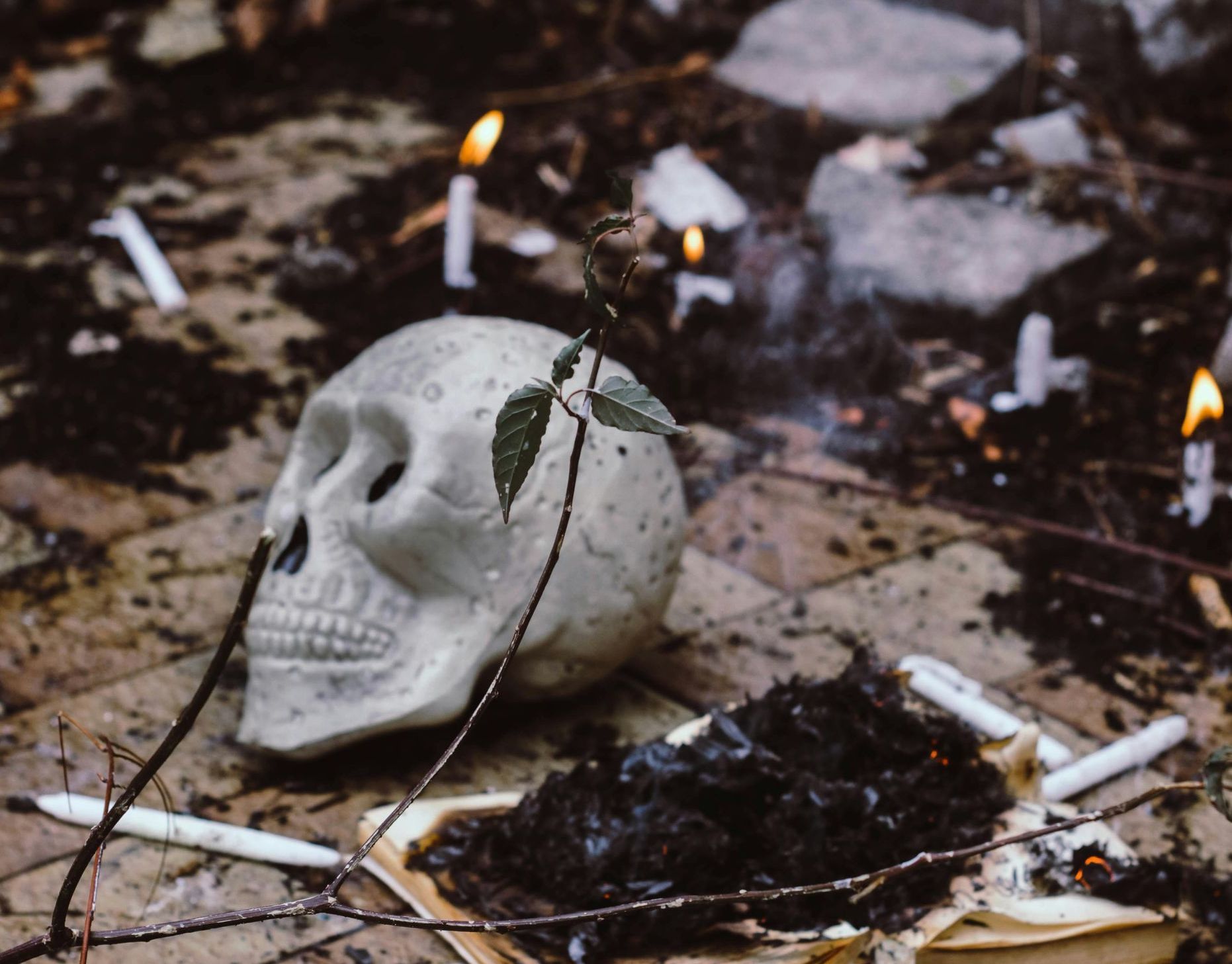 A skull surrounded by candles