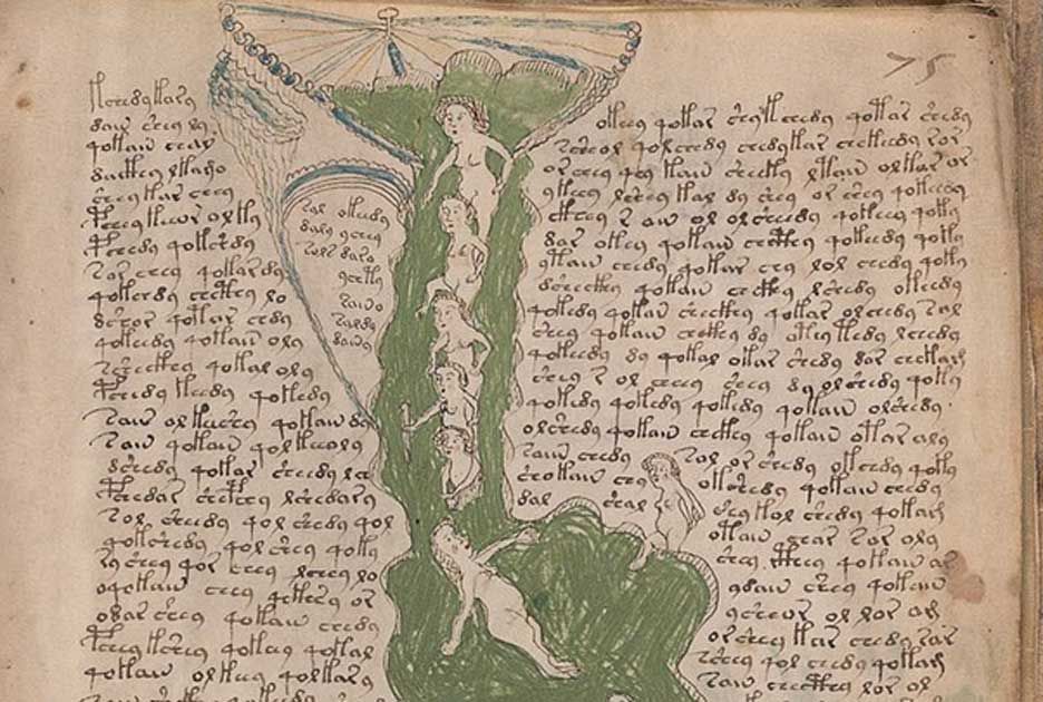 voynich manuscript