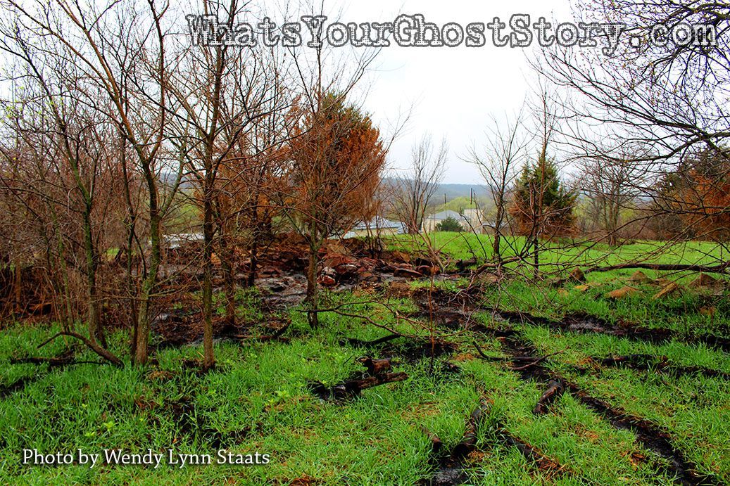 A muddy field with trees in the background and tire tracks in the grass.