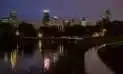 A blurry picture of a city at night with a river in the foreground.