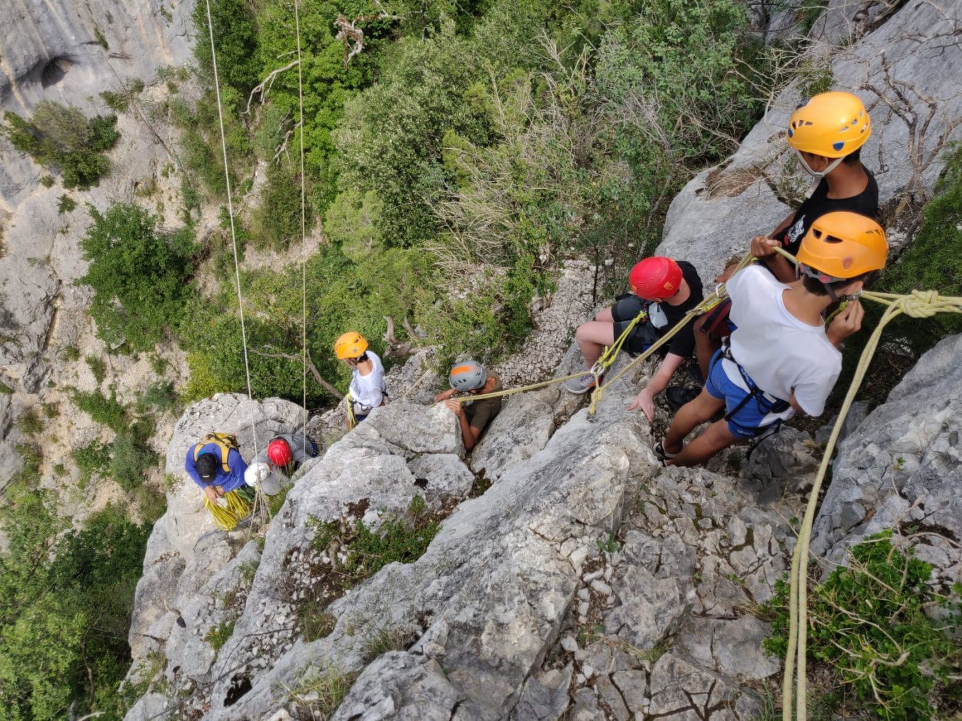 Un groupe  d'enfants qui font de l'escalade sur une falaise