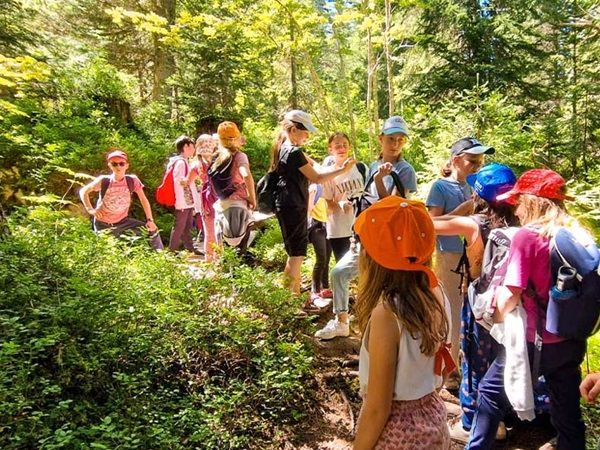 Un groupe d'enfant se promène dans la forêt avec des animateurs