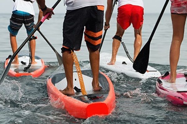 Des jeunes vus de dos jusqu'à la taille font du paddle dans la mer