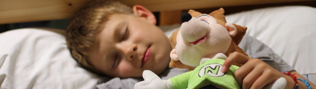 Un enfant dort avec son doudou dans les bras