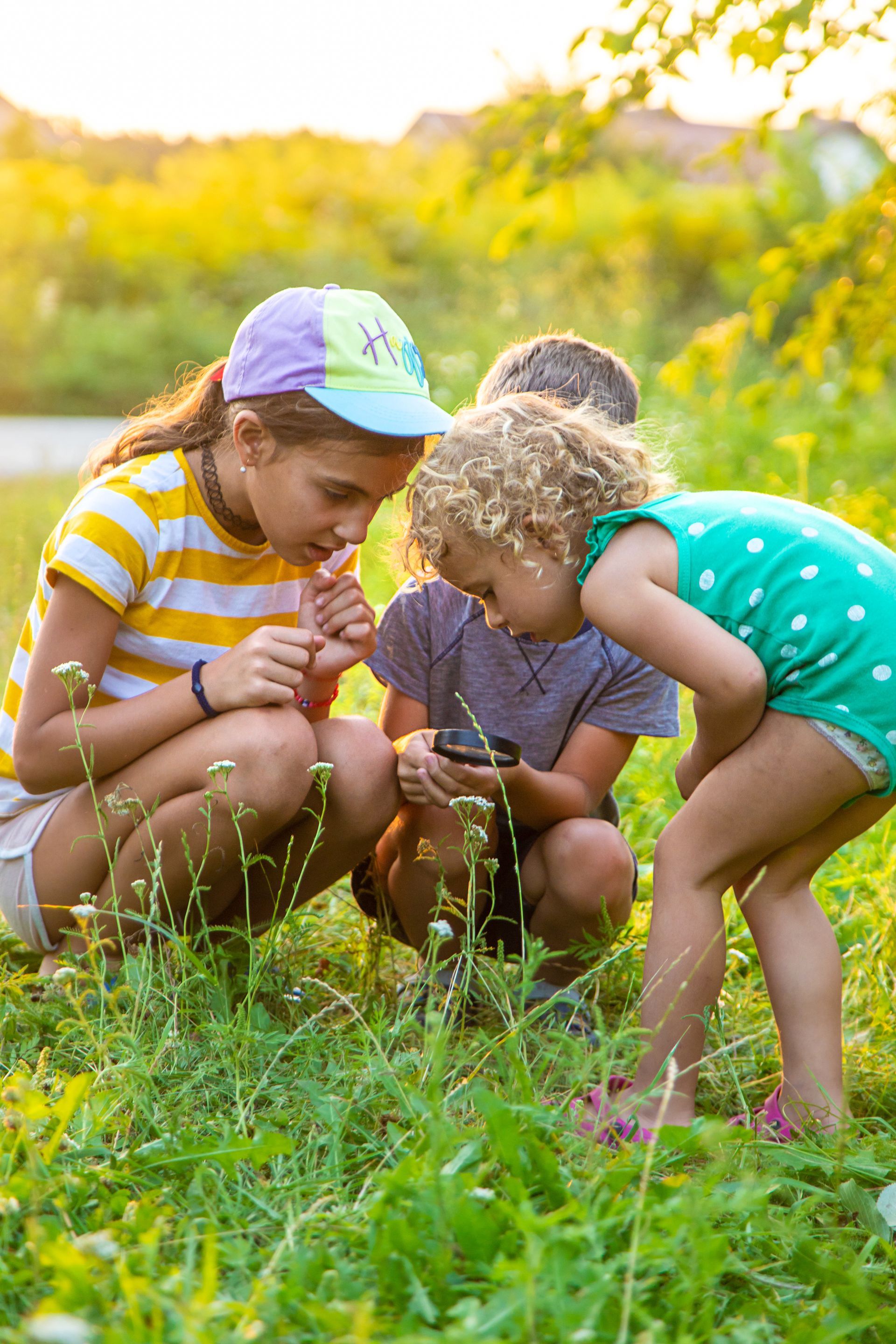 Un jeune homme et deux jeunes filles qui observent la nature 