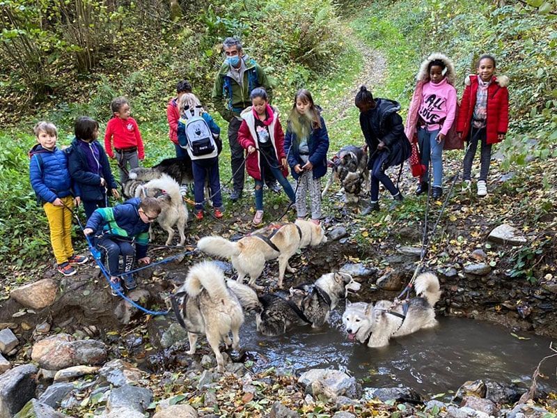 Des enfants font une promenade en cani-rando avec des chiens de traîneau